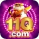 11q VIP Gaming App